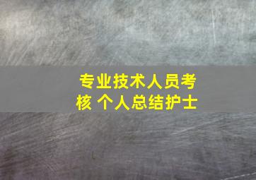 专业技术人员考核 个人总结护士